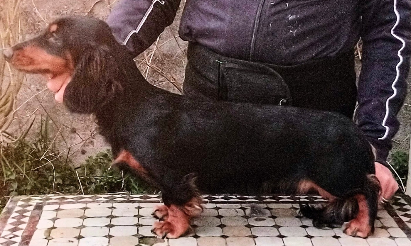 Athenaïs Good Spotted Paradise