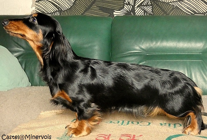 Athenaïs Good Spotted Paradise