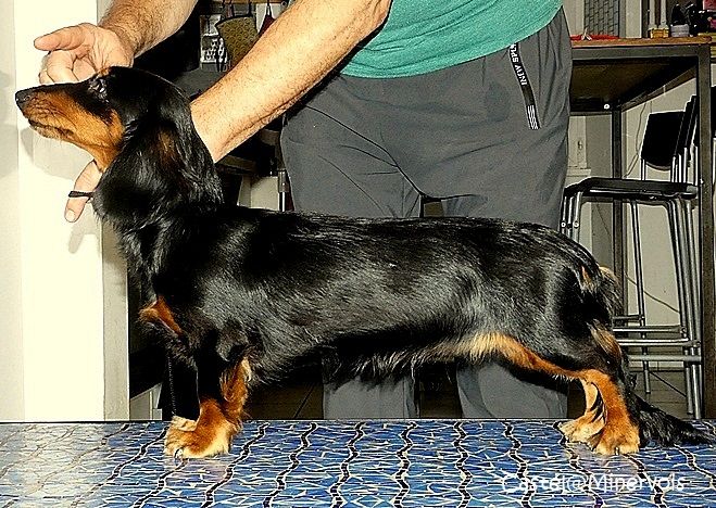 Athenaïs Good Spotted Paradise