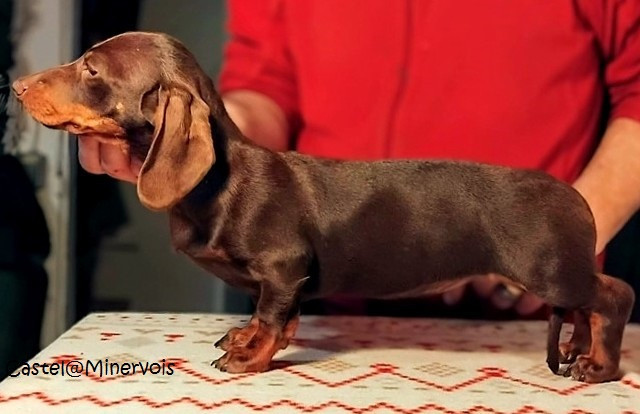 ALOHA du Buc de la Coume