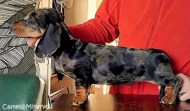 Botero Du Suc D'Ayme