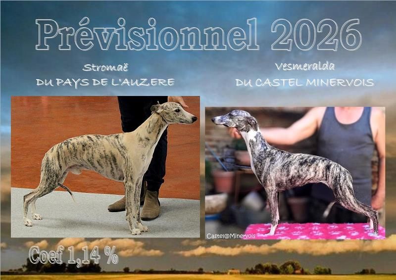 Presionnel bb début 2026 